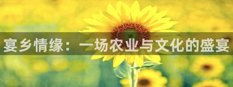 天辰娱乐平台安全吗