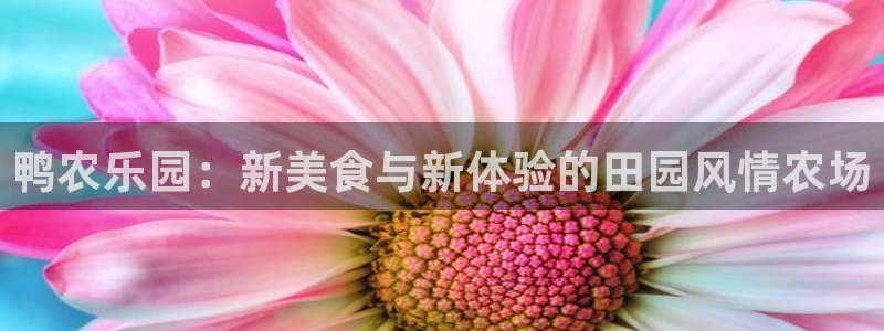 天辰娱乐新闻