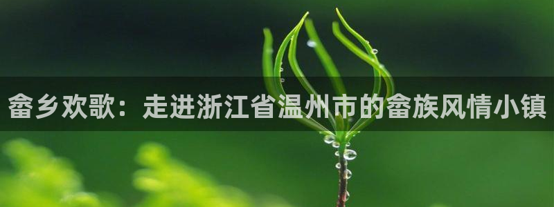 天辰娱乐官方网