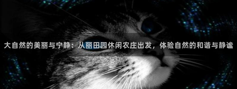 天辰娱乐信誉