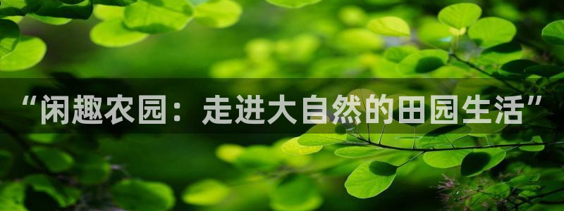 天辰娱乐 天辰平台
