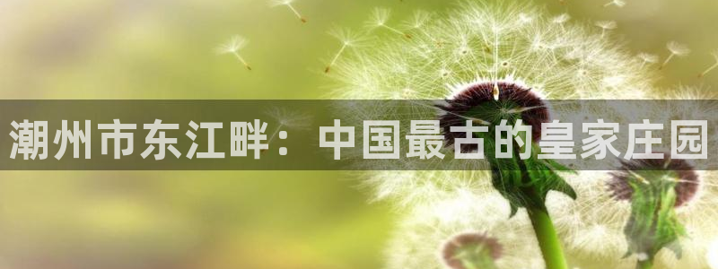 天辰娱乐39596