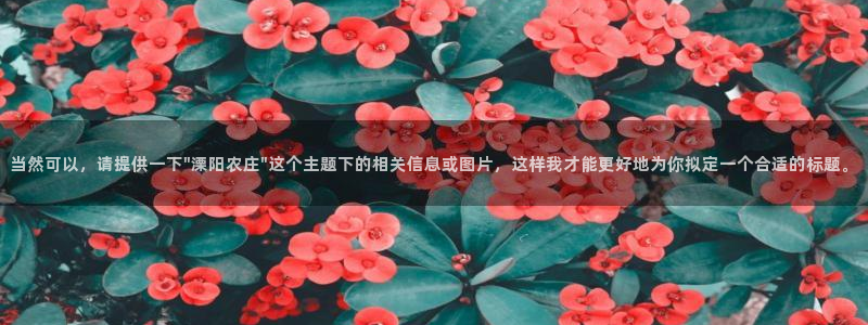 天辰娱乐输了