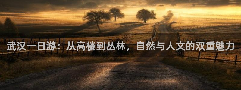 天辰娱乐平台app下载