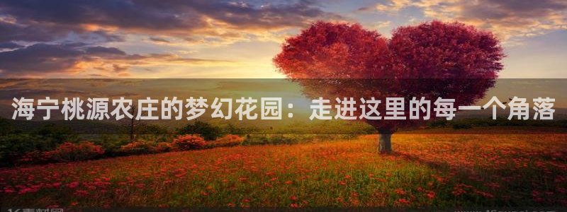 天辰娱乐APP下载