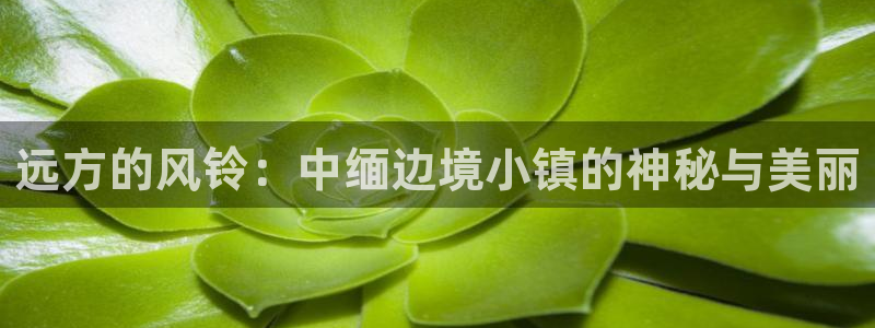 天辰娱乐 39974