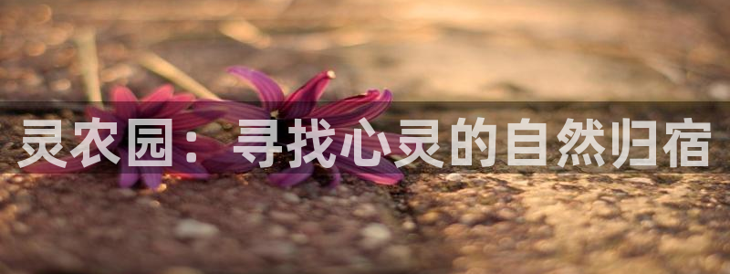 天辰娱乐平台安全吗