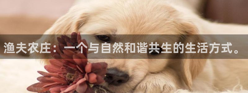 天辰娱乐44516