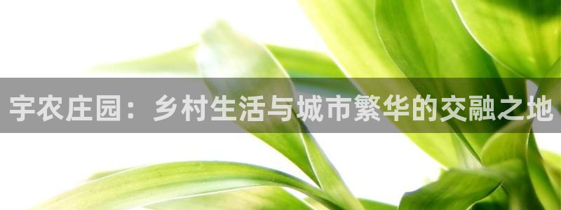 天辰团队贝高娱乐