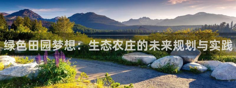 天辰娱乐10086