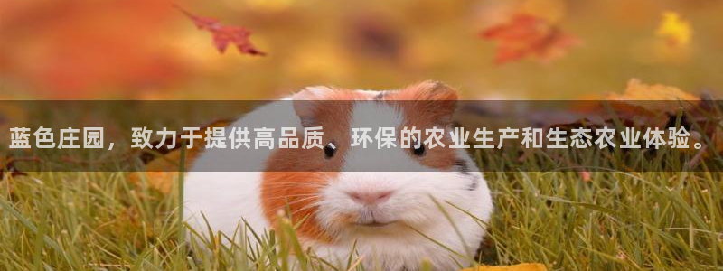 天辰娱乐app