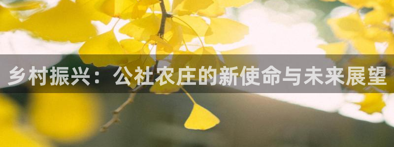 天辰娱乐1956