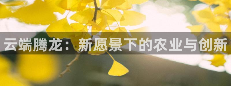 天辰娱乐官网平台入口