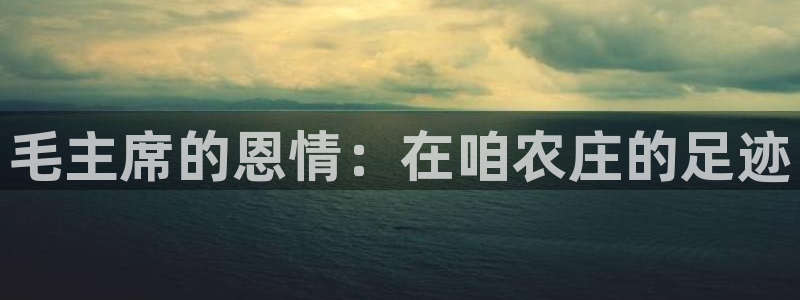天辰娱乐黑人