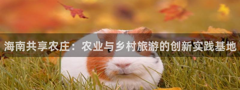 大同天辰娱乐