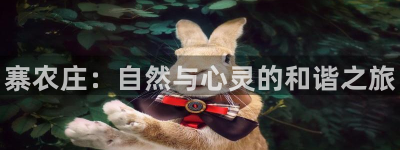 天辰天辰娱乐