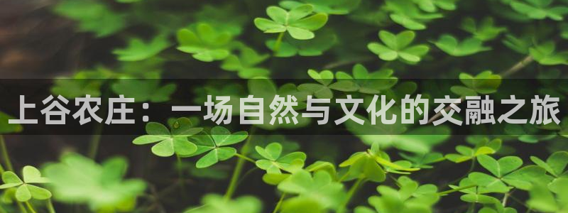 天辰娱乐直属