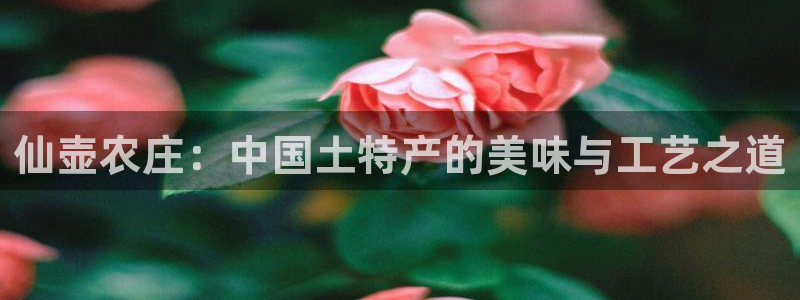 天辰娱乐服务