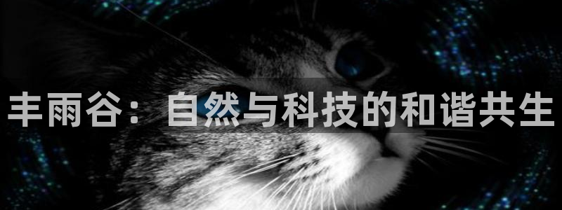 天辰娱乐_675138