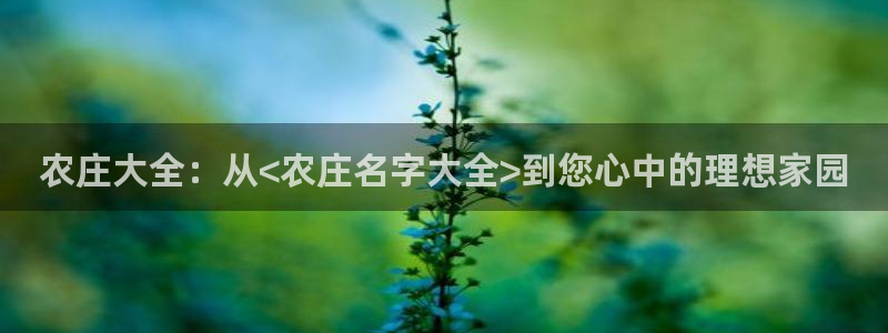 天辰娱乐在哪