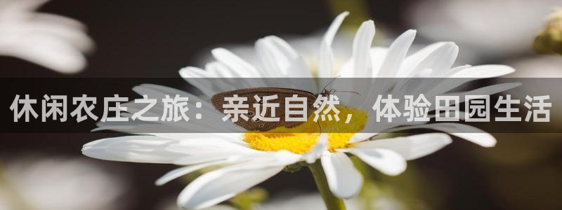 天辰娱乐平台安全吗