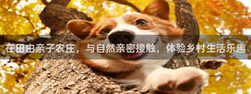 天辰团队贝高娱乐