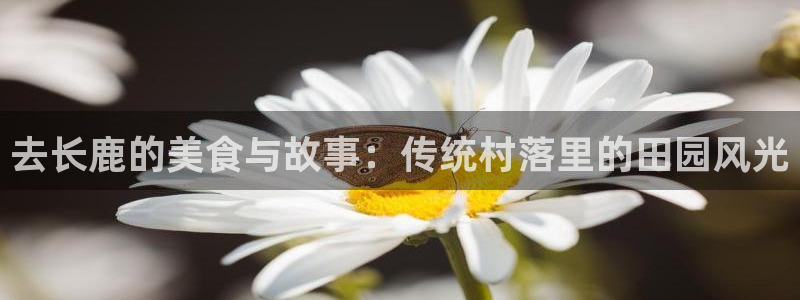 天辰娱乐路线