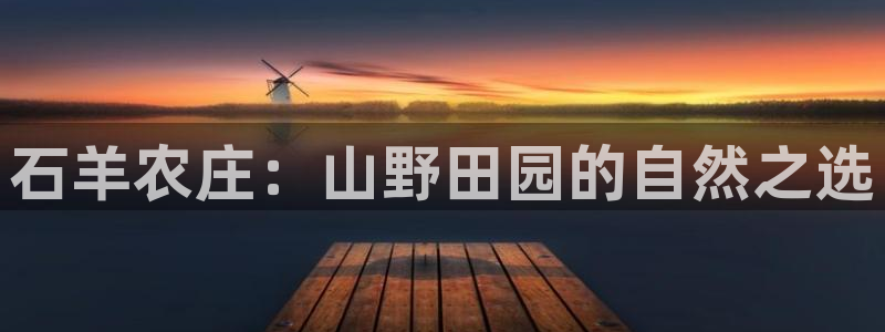 天辰娱乐885544