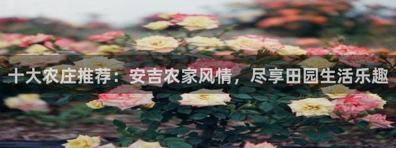 天辰娱乐 849852
