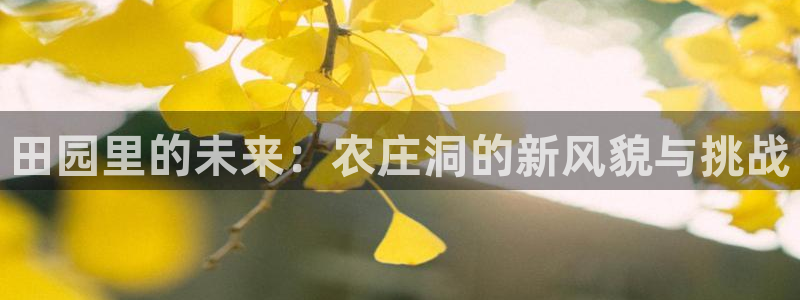 天辰娱乐公司