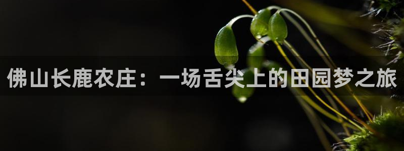 大同天辰娱乐