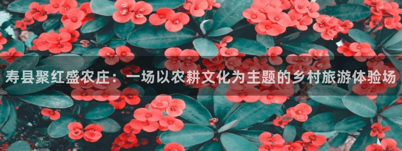 天辰娱乐