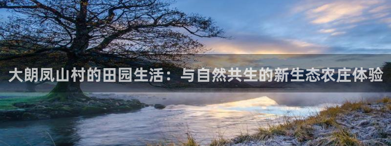 天辰娱乐入口