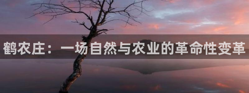 天辰娱乐官