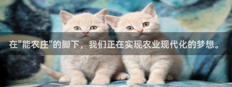 天辰app娱乐