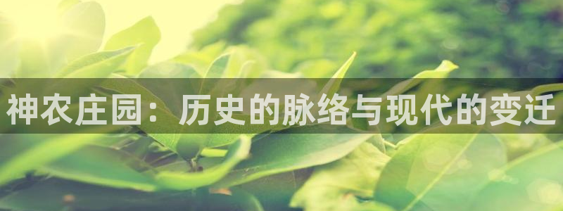 天辰娱乐885544