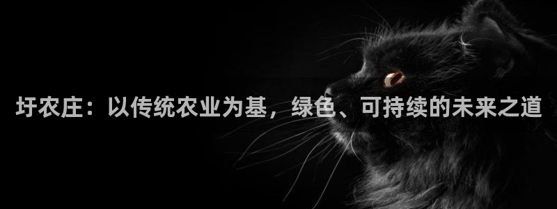 天辰娱乐app