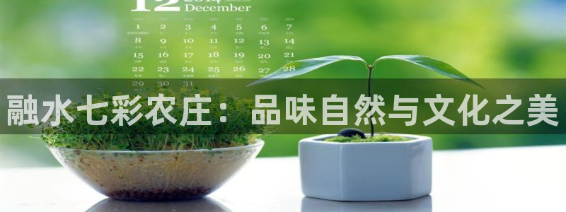 天辰娱乐 849852