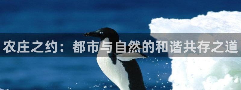 nba天辰娱乐