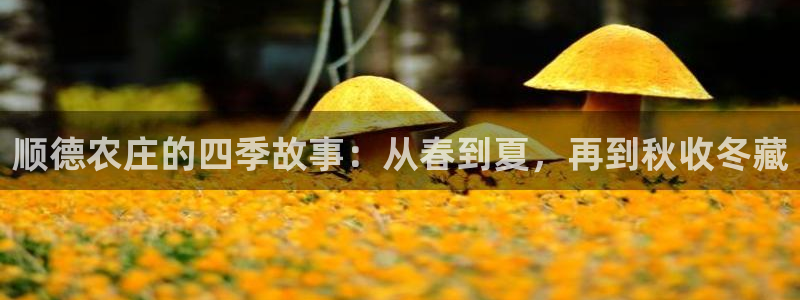 天辰娱乐 首选