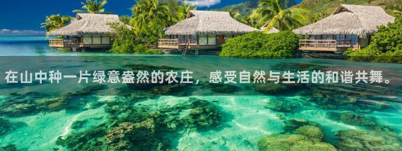天辰娱乐
