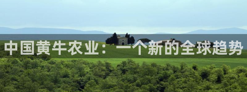天辰娱乐481928