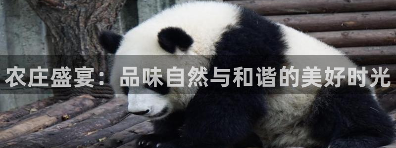 天辰娱乐信誉