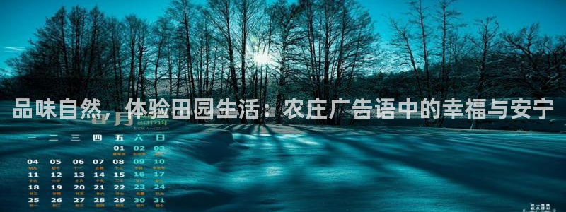 天辰娱乐电话