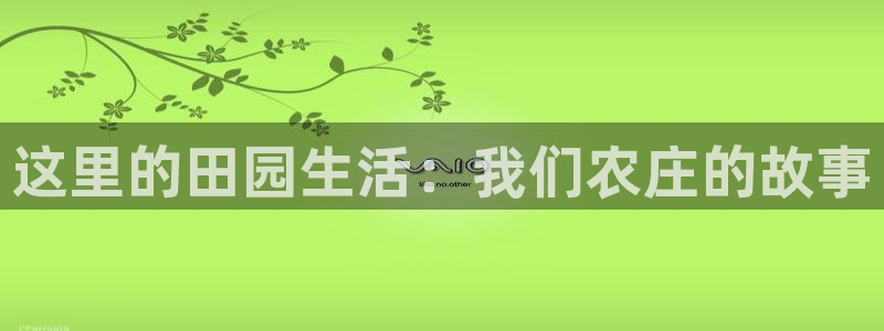 广东天辰娱乐