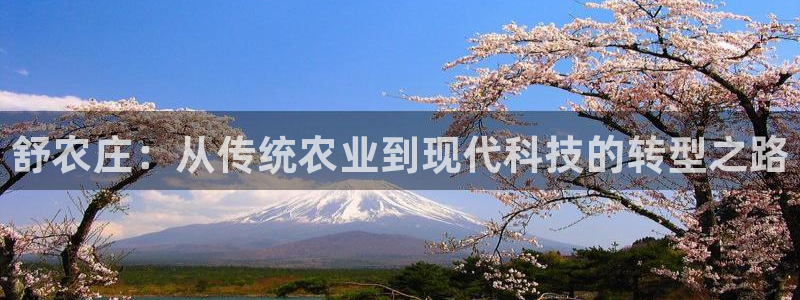 天辰娱乐测速
