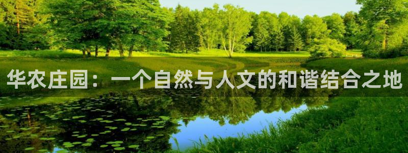 手机上怎么下载天辰娱乐