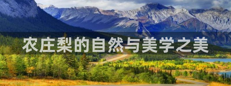 天辰娱乐跑的快