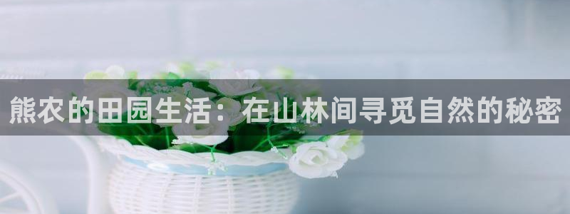 天辰娱乐挂机