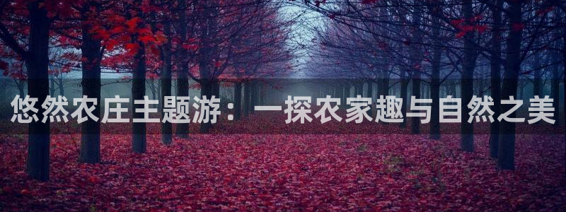天辰娱乐棋牌